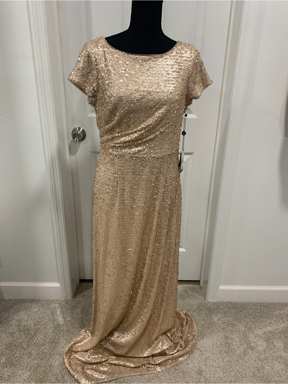 Adrianna Papell Sequin Cap-Sleeve Evening Gown in Champagne